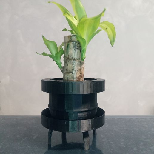 cache-pot.jpg cache pot