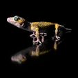 LeopardGecko_BySophie_Szene0003.jpg Archivo 3D Gecko leopardo (forma de color)-archivo de impresión STL-3D - con Full-5・Modelo imprimible en 3D para descargar