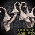 3.jpg CrookCap Mushrooms for bases
