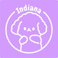 Indiana3D