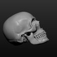 a2.jpg Skull
