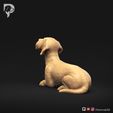 Dachshund-Wire-Haired-Pose-08-Dog-3D-Print-6s.jpeg Dachshund Wire Haired Pose 08