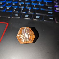 PXL_20231124_215609813.jpg Albert Einstein D12 Dice - Fillable