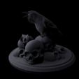 raven6.jpg Dark Raven