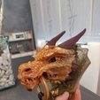 Drago Knocker