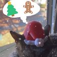 IMG_2301.jpeg Santa Cat Hat 🎅