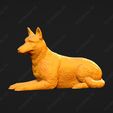 1713-Belgian_Shepherd_Dog_Malinois_Pose_08.jpg Belgian Shepherd Dog Malinois Dog 3D Print Model Pose 08