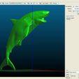 3D printable model.jpg Shark