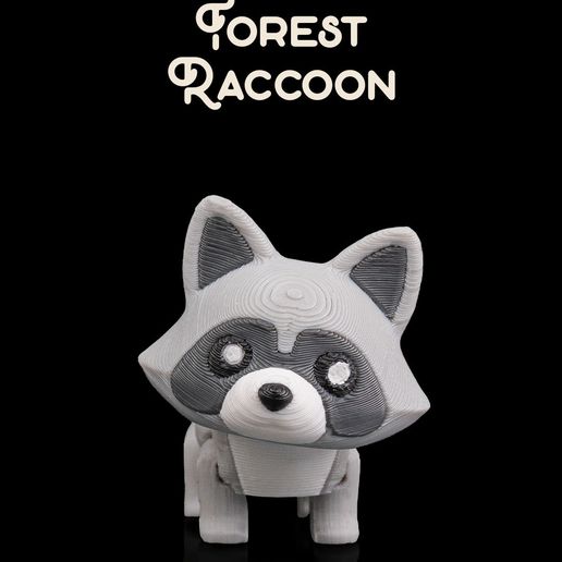 Forest-Racconthumb.jpg Forest Raccoon