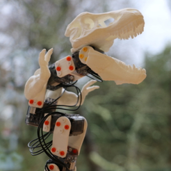 Capture d’écran 2017-06-21 à 16.03.47.png Archivo STL gratis El Ergosaurus Rex (Poppy Ergo Jr con piezas impresas 3D de T-Rex)・Diseño de impresión 3D para descargar