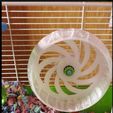 hamsterwheel2.jpg Hamster Wheel Bigger