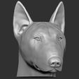 4.jpg Bull Terrier dog for 3D printing