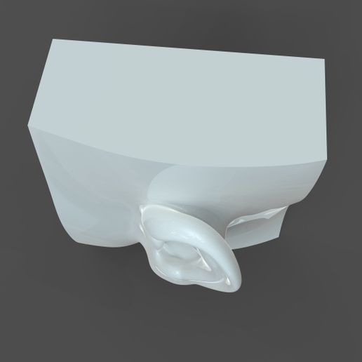 SH_model1_detail0c.208.jpg Realistic lifesize female ear