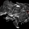 ZBrush-2023.-01.-25.-22_05_37-2.png Dark Souls 3 Vordt of Boreal Valley