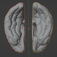 20.png 3D Model of Brain with Cerebellum and Brain Stem