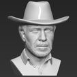 12.jpg Chuck Norris bust 3D printing ready stl obj formats