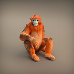 Snub_nosed_monkey.jpg Archivo 3D Mono de nariz respingona・Modelo para descargar e imprimir en 3D