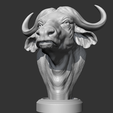 02.png Buffalo_Head_AM03 3D print model