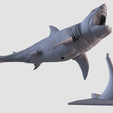 05.png White Shark Statue
