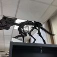 20220506_174914089_iOS.jpeg Esqueleto de una cría de Triceratops Parte01/07