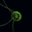 helix-dna-label-bacteria-flagella-bacilli-3d-model-42337b3670.jpg helix dna label bacteria flagella bacilli Low-poly 3D model