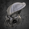 image01.png Predator Celtic Bio Mask