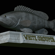 White-grouper-statue-23.png fish white grouper / Epinephelus aeneus statue detailed texture for 3d printing