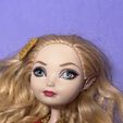 IMG_6843.jpeg Ever After High custom basic Ramona Badwolf doll accessories set