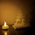 IMG_3589.jpg noel