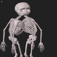 IMG_6871.png craniophages