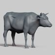 R03.jpg cow pose 03