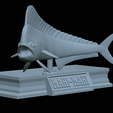 mahi-mahi-mouth-statue-25.png fish mahi mahi / common dolphin fish open mouth statue detailed texture for 3d printing