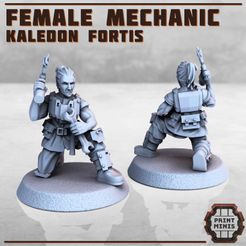 Kaledon-Mechanic.jpg Fichier 3D Femme mécanicien - Kaledon Fortis・Design pour impression 3D à télécharger