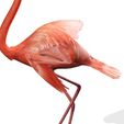A4.jpg DOWNLOAD Flamingo 3D MODEL ANIMATED - BLENDER - 3DS MAX - CINEMA 4D - FBX - MAYA - UNITY - UNREAL - OBJ -  Flamingo DINOSAUR DINOSAUR Flamingo DINOSAUR BIRD