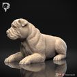 Bulldog-Pose-09-Dog-3D-Print-8s.jpeg Bulldog Dog 3D Print Model Pose 09