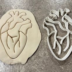 Anatomicalheart.jpg Anatomical Heart Cookie Cutter | Fondant Cutter