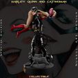 h-11.jpg Harley Quinn and Catwoman - Collecible Edition