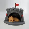 Screenshot_20260515_132728_Gallery.jpg Sleeping Dragon In a Pen Holder Castle