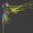 BRAIN-STEM-WITH-CRANIAL-NERVES-AND-NUCLEI-11.png 32-part Brainstem & Midbrain 3D Model with Full Cranial Nerves and Nuclei