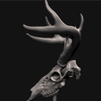 3.png Deer skull with stand