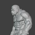 g2.jpg King Kong Fighter Gorilla Warrior