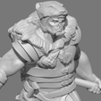 1_-_Copy.png Orc Paladin