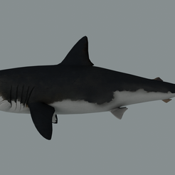 render1.png Megalodon (Shark)