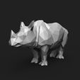 1.1.jpg Rhino