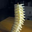Spine_candle_holder01_display_large.jpg Bougeoir pour la colonne vertébrale