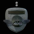 Barracuda-solo-model-4.png fish head great barracuda trophy statue detailed texture for 3d printing