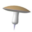 Bolet.jpg Mushroom Bolet, Girolle