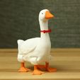 IMG_9581.jpg Flexi-Gans