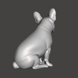 Screenshot-2025-11-11-090107.png French Bulldog