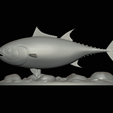 Bluefin-tuna-13.png Atlantic bluefin tuna / Thunnus thynnus / Tuňák obecný  fish underwater statue detailed texture for 3d printing